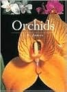 Orchids