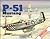P-51 Mustang in Action - Aircraft No. 45 by Larry Davis