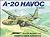 A-20 Havoc in Action (Aircraft in Action, #1144)