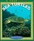 Sea Turtles (True Book)