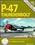 P-47 Thunderbolt: In Detail...