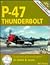 P-47 Thunderbolt: In Detail & Scale