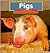 Pigs (Early Reader Science)