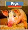 Pigs (Early Reader Science)