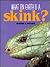 What on Earth Is a Skink?
