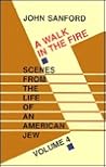 A Walk in the Fire: Scenes from the Life of an American Jew (Scenes from the life of an American Jew, #4) A Walk in the Fire: Scenes from the Life of an American Jew (Scenes from the life of an American Jew, #4)