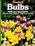 Bulbs for All Seasons: Sunset