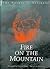 Fire on the Mountain by Dorian Weisel