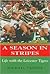 A Season in Stripes: Life with the Leicester Tigers