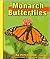 Monarch Butterflies (Butterflies)