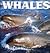 Whales