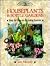 Houseplants & Bottle Garden...