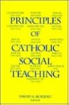 Principles of Catholic Social Teaching (Marquette Studies in Theology)