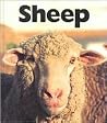 Sheep (Naturebooks) Sheep (Naturebooks)