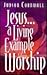 Jesus... a Living Example of Worship