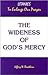 The Wideness of God's Mercy...