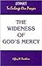 The Wideness of God's Mercy by Jeffery Rowthorn