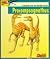 Looking at Procompsognathus: A Dinosaur from the Triassic Period (New Dinosaur Collection)