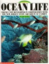 Ocean Life (Grades 1-4)