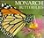 Monarch Butterflies  by Charles Rotter