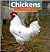Chickens by Peter Brady