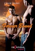 Forever Bound
