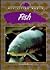 Fish (Our Living World)