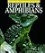 Reptiles & Amphibians