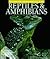 Reptiles & Amphibians by Catherine Herbert Howell