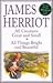All Creatures Great and Small / All Things Bright and Beautiful by James Herriot All Creatures Great and Small / All Things Bright and Beautiful by James Herriot