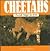 Cheetahs: Cheetah Magic for Kids (Animal Magic for Kids)