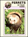 Ferrets in Your Home