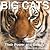 Big Cats