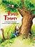 Timid Timmy