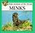 Minks (Wild Animals of the Woods)