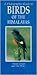 Photographic Guide to Birds of the Himalayas