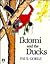 Iktomi and the Ducks: A Pla...