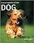 Encyclopedia of the Dog by Juliette Cunliffe