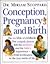 Conception Pregnancy & Birth