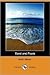 Sand and Foam