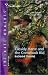 Cassidy Harte and the Comeback Kid (Outlaw Hartes, #3)