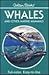 Whales and Other Marine Mammals (Golden Guides)