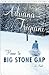Home to Big Stone Gap by Adriana Trigiani