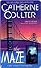 The Maze (FBI Thriller, #2)