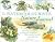 The Watercolourist's Nature Journal by Jill Bays