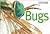 Bugs (Little Guides)