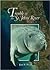 Trouble on the St. Johns River by Jane R. Wood