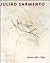 Juliao Sarmento: Work 1981-1996 (German Edition)