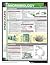 Microbiology (SparkCharts)