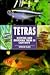 Tetras Keeping and Breeding Them In Captivity
